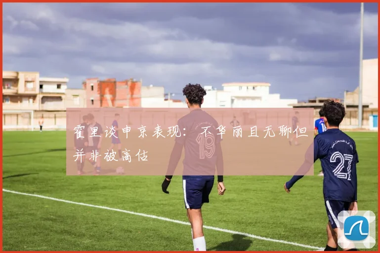 霍里谈申京表现：不华丽且无聊但并非被高估