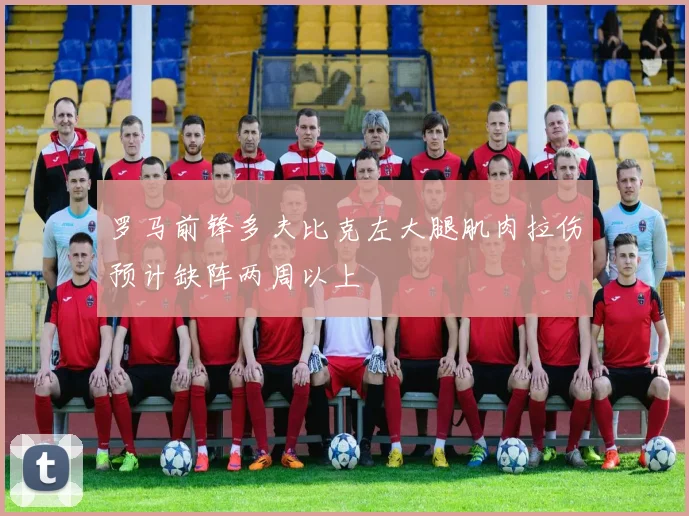 罗马前锋多夫比克左大腿肌肉拉伤预计缺阵两周以上